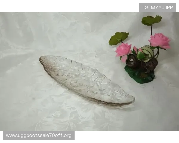 凯发线上官网下载网址最新更新信息及官方渠道查询技巧详解