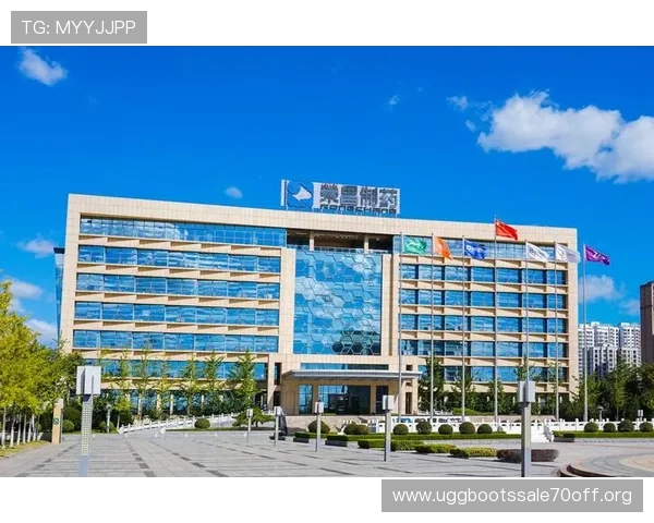 如何解决凯发集团网页版登录不了的问题?实用技巧全攻略