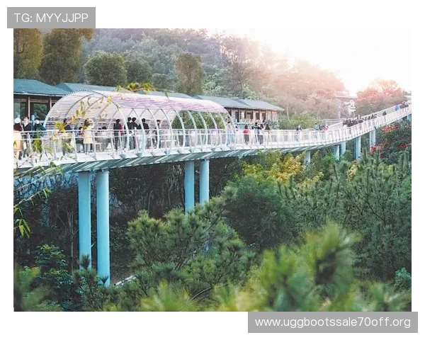 凯发网址app最新赛事资讯实时更新,掌握第一手体育赛事动态